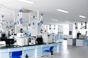 尊龙凯时人生就是搏·(中国区)官方网站